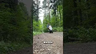 Решил уехать в путешествие в лес😅 