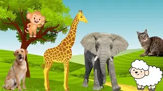 Funny animal sounds - Elephant, cat, dog, monkey, sheep - Familiar animals