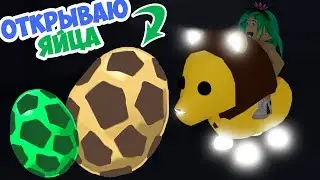 Opening a bunch of EGGS and A glowing lion! update in adopt me, Pets glow in adopt me, adopt me
