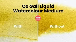 Ox Gall Liquid Watercolour Medium by Winsor & Newton