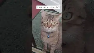 #youtube
