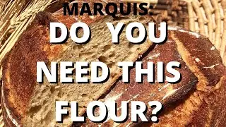 Marquis Flour: The Most Extensible