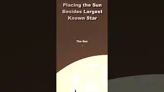 Placing the Sun Besides Largest Known Star 