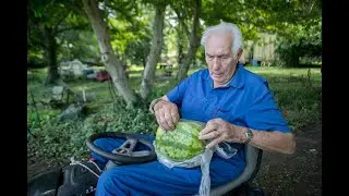 92-year-old Illinois gardener grows square watermelons