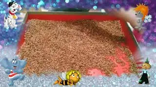 Раннее развитие.  Игры с крупой.  Стимуляция речевого центра.