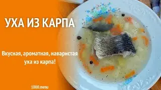 Уха по самому Простому рецепту