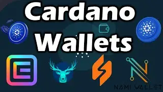 Cardano Wallets | Best wallet for Native Tokens and NFTs