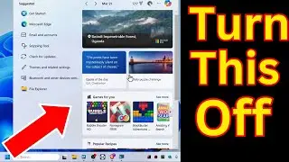 How To Turn Off Search Highlights In Windows 11