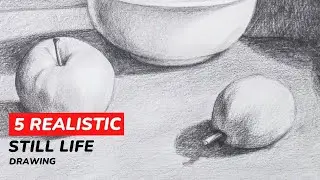 Witness the Beauty: 5 Realistic Still Life Pencil Drawings (Timelapse)