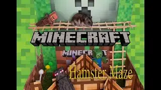 Minecraft World. Hamster minecraft maze. Хомяк в лабиринте Мир Майнкрафт.