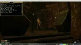 TES3MP test