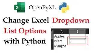 Openpyxl - Change the Options in a Dropdown List in Excel Workbooks with Python | Data Automation