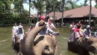 Elephant Safari Park Lodge Bali