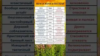 Темперамент мужа и жены по Зодиаку