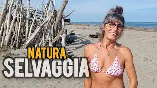 Parco del delta del Po: spiaggia naturale