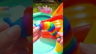 Learn Bug Insect Names | Bounce Toys off Waterslide: Spider Caterpillar Slug Snail Ant