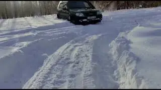 Когда выходны становятся  скучные, приходит идея засадить нивас)