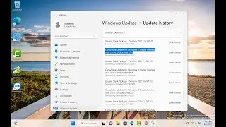 Cumulative Update for Windows 11 Insider Preview (10.0.25174.1010) (KB5017214)