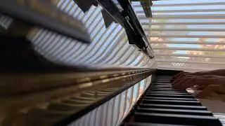 Bani Adam - Coldplay Piano