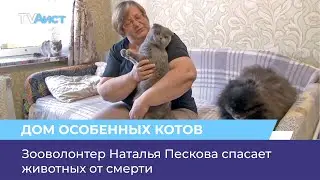 Зооволонтер Наталья Пескова спасает животных от смерти