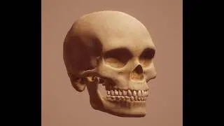 Tip sobre la  columna vertebral. El cuidado de tu salud