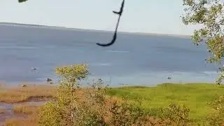 Выходной на море.