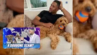 Michael Strahan's Divorce Has Officially Gone To The Dogs! Ex Claims He Spends More On Dog Than Kids