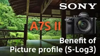 α7S II - S-Gamut3.Cine/S-Log3 and S-Gamut3/S-Log3 movie | α | Sony