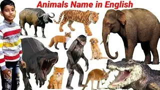 Animals video For Education | Cute Animals Video Cow, Gorilla, Rhino, Lion, Dog| Animals Video| 