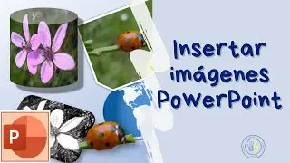 Cómo 📷insertar IMAGENES en Power Point  ⭐