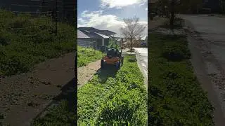 Is this lawnmower real? #satisfying