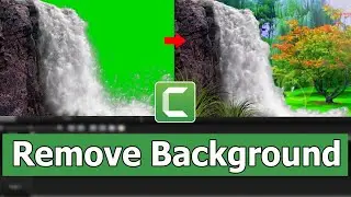 how to change green screen video background in Camtasia Studio Vfx