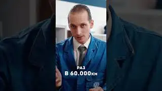 Как часто нужно проходить ТО на автомобиле? 