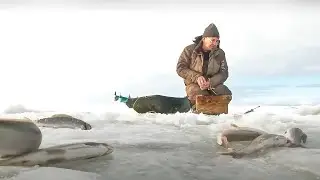 За хариусом по первому льду | С полем!