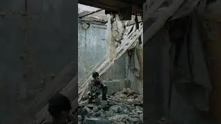 Старый дом посреди леса 