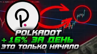 Polkadot | Полкадот - Докупать или продавать? | Ты должен это знать (анализ рынка Dot)