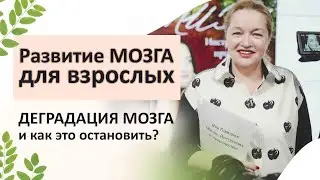 Развитие мозга для взрослых. Деградация мозга и как это остановить?