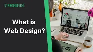 What is Web Design? | What Do Web Designers Do? | How to Design a Website | Web Design