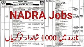 New Jobs in NADRA June 2021||NADRA Jobs