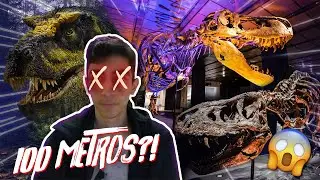 Os Cinco Maiores Tiranossauros Rex