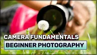 Learn Photography For Beginners - A Breakdown of the Basics of Photography