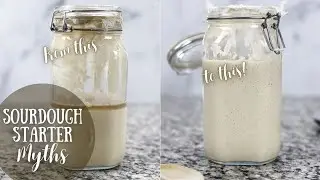 Maintaining From Scratch Sourdough Starter | Sourdough Starter Concerns