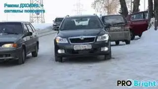 PROBRIGHT в Skoda Octavia A5 FL