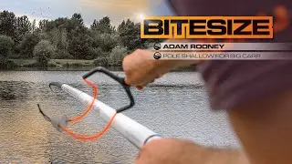 Shallow For Fishing for Carp - Pole Fishing | Guru Bitesize #027