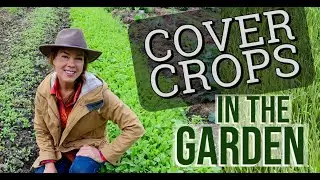 Cover Crops in the Home Garden