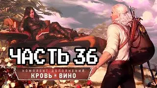 Впервые прохожу Ведьмак 3: Кровь и Вино - 36 часть | Макс сложность | Next Gen