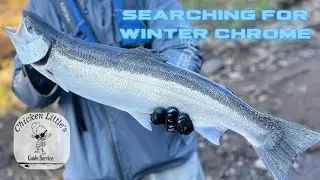 EPIC Day Of WINTER Steelhead Fishing With Chicken Little's Guide Service #wintersteelhead