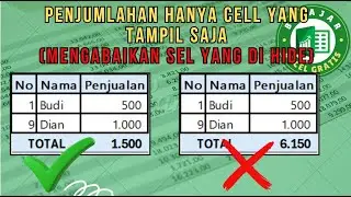 Cara Penjumlahan tanpa memperhitungkan data yang di hide di Excel