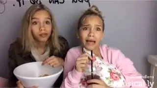 Top Lisa and Lena Comedy Musical.ly Compilation - Best Musical.ly 2016-2017