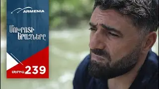 Մոխրոտի Երազները, Սերիա 239 / Mokhroti Eraznery